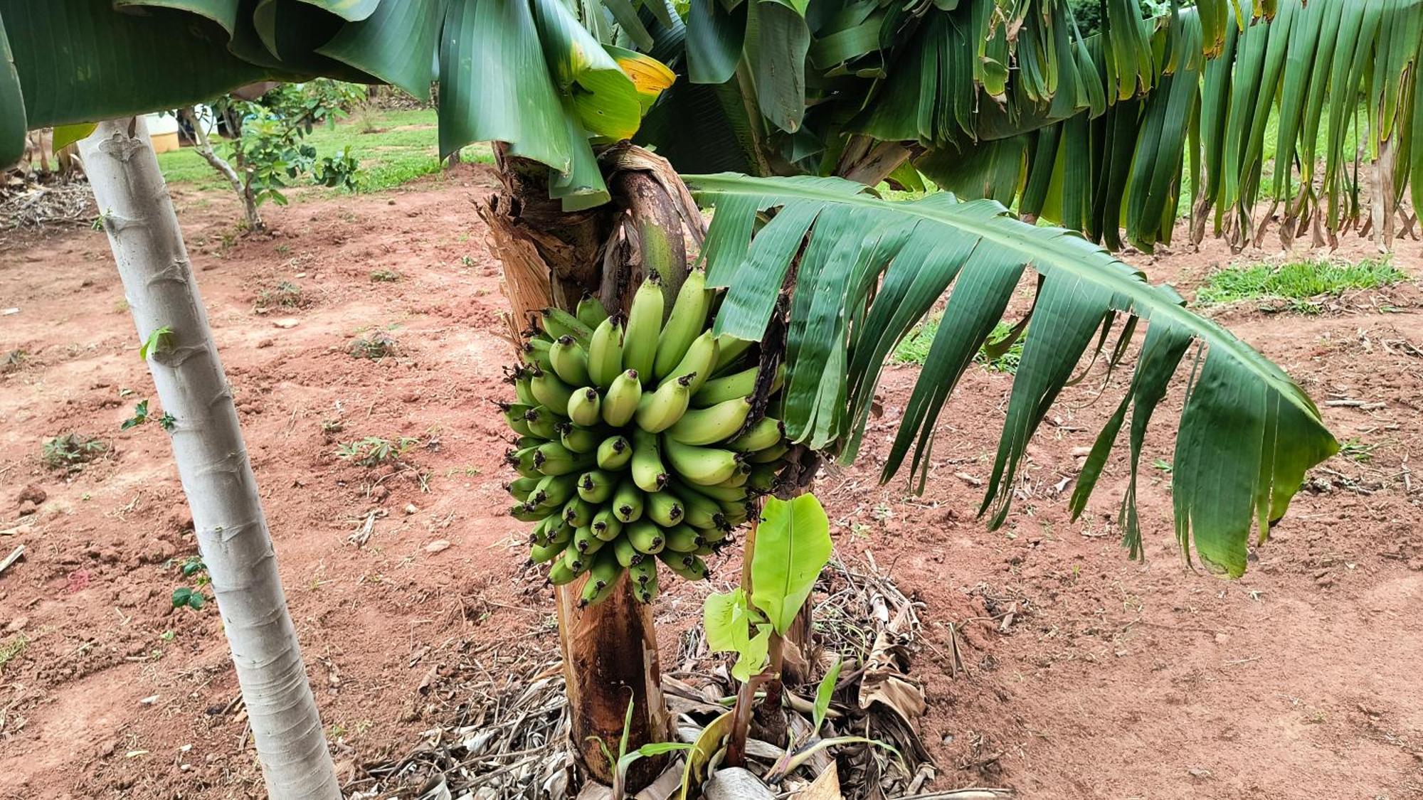 Pousada Recanto Do Sossego Hotel São Tomé das Letras Eksteriør billede